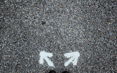 Beta Readers vs. Editors: Which Do I Need?